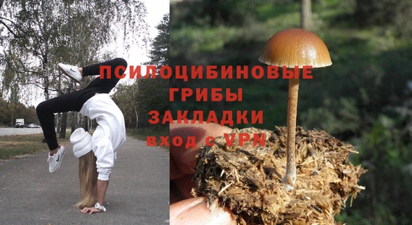спиды Абинск